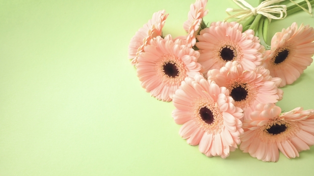 くずはモールでお花プレゼント