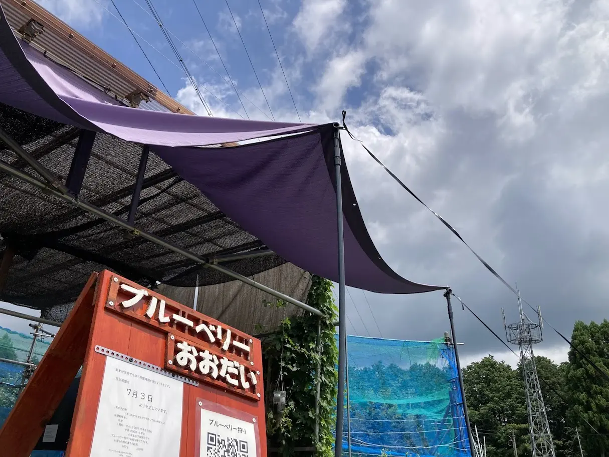 ブルーベリーおおだい看板見上げ
