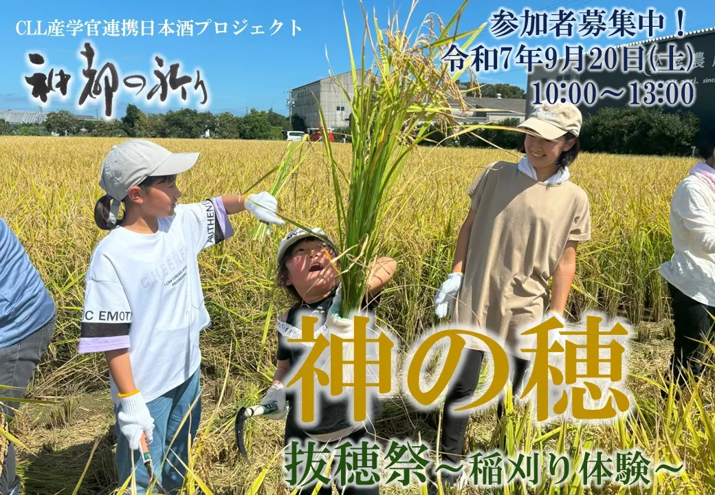 松幸農産の酒米稲刈りイベントメイン画像