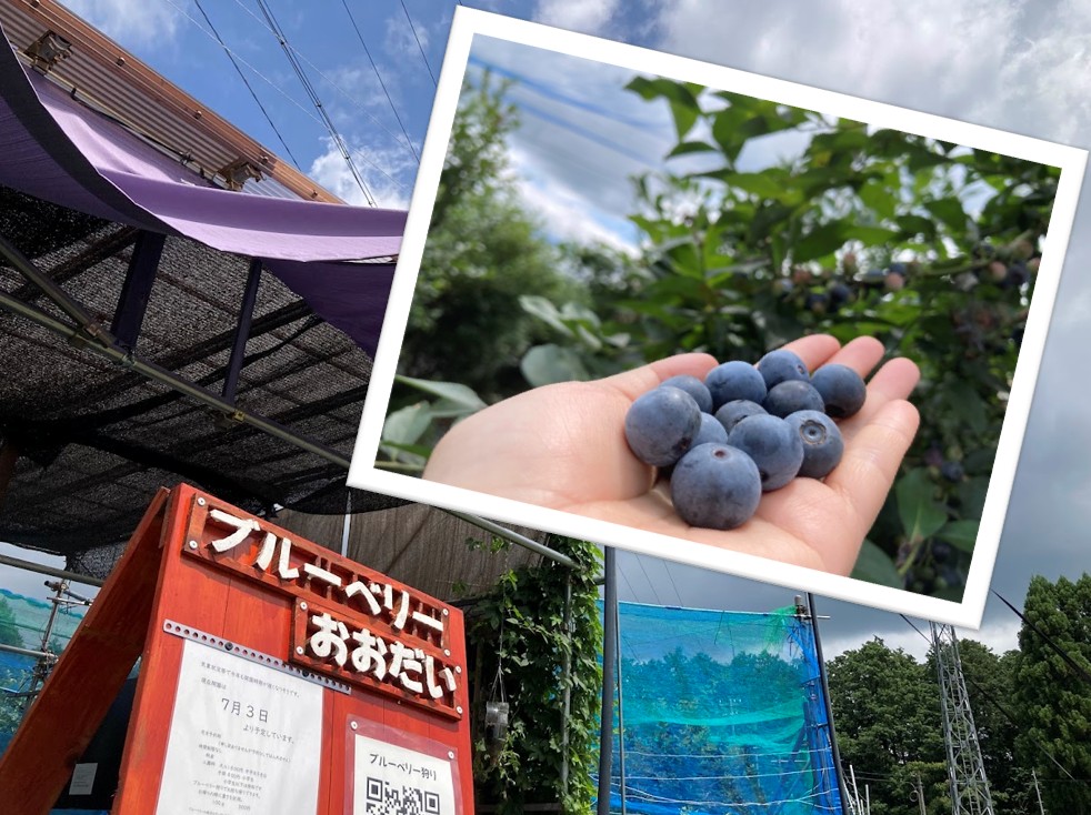 大台町フォトコンイメージ2025