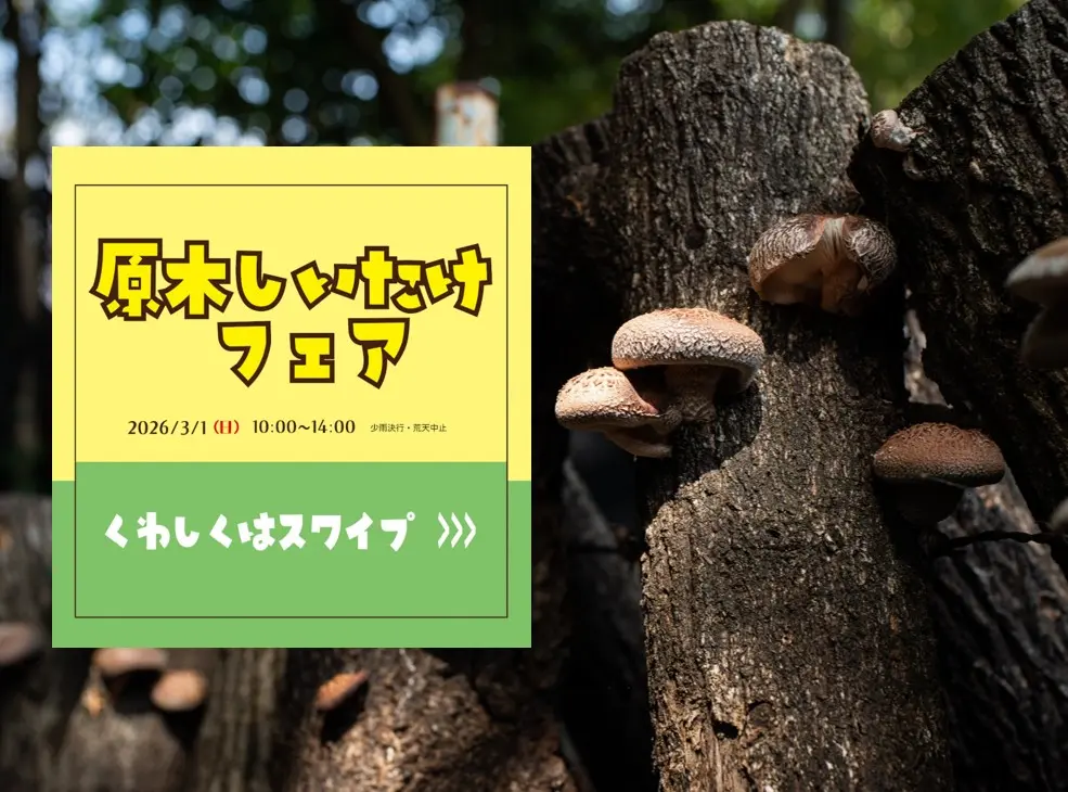 原木しいたけフェアのメイン画像