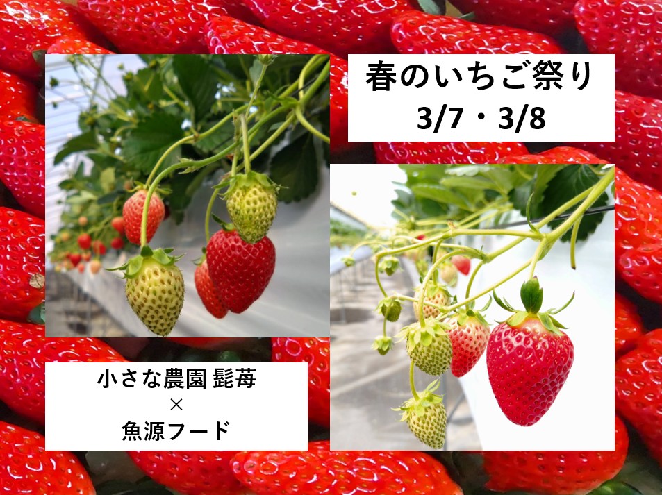 髭苺の春のいちご祭りの画像