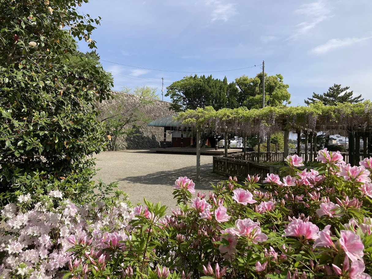 松坂城跡のつつじと藤