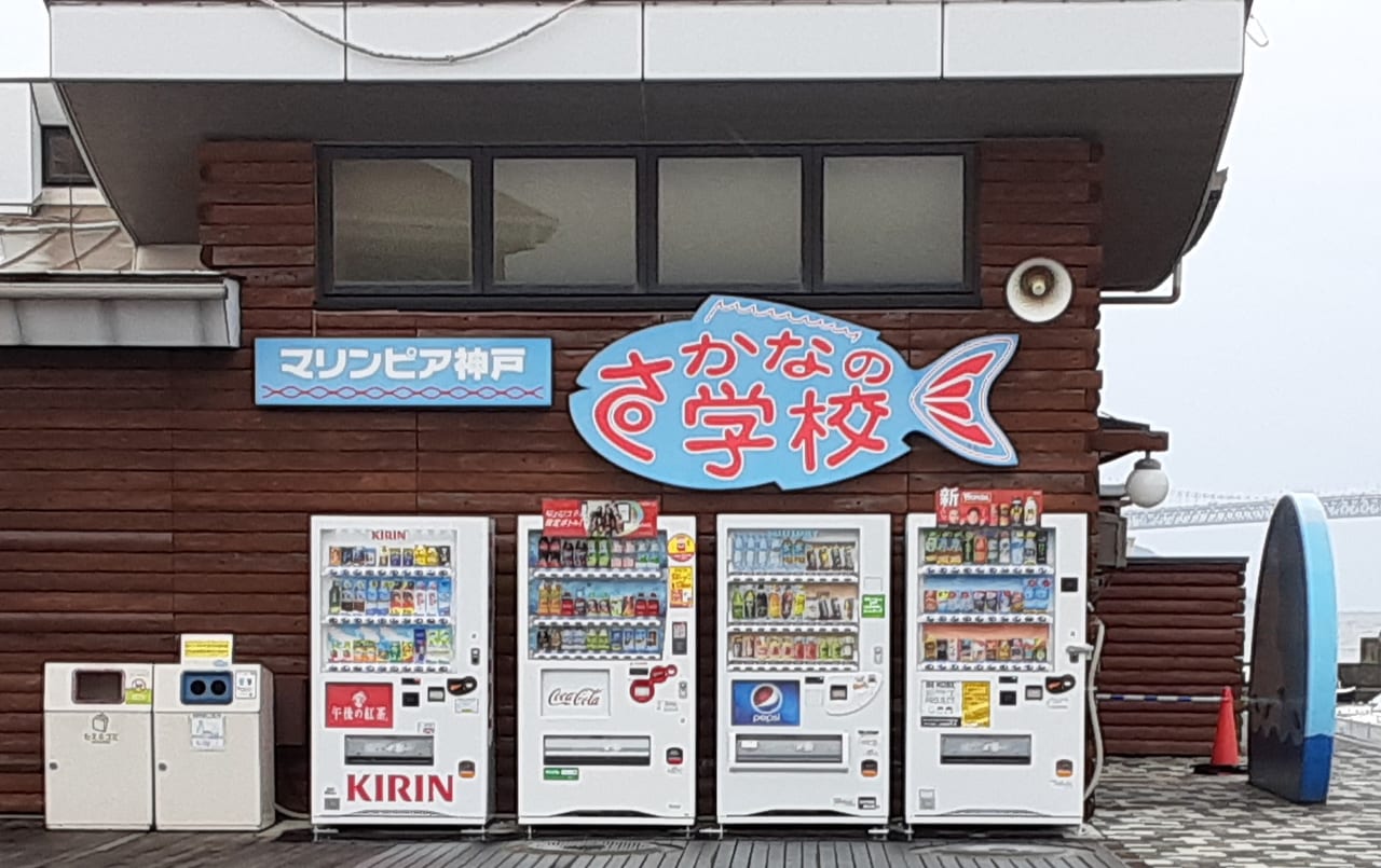 さかなの学校小さな水族館