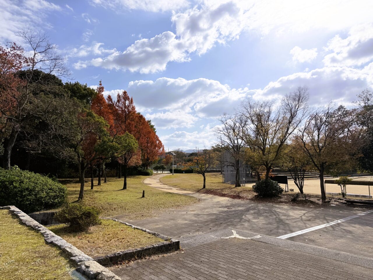 紅葉が見ごろの光明池公園