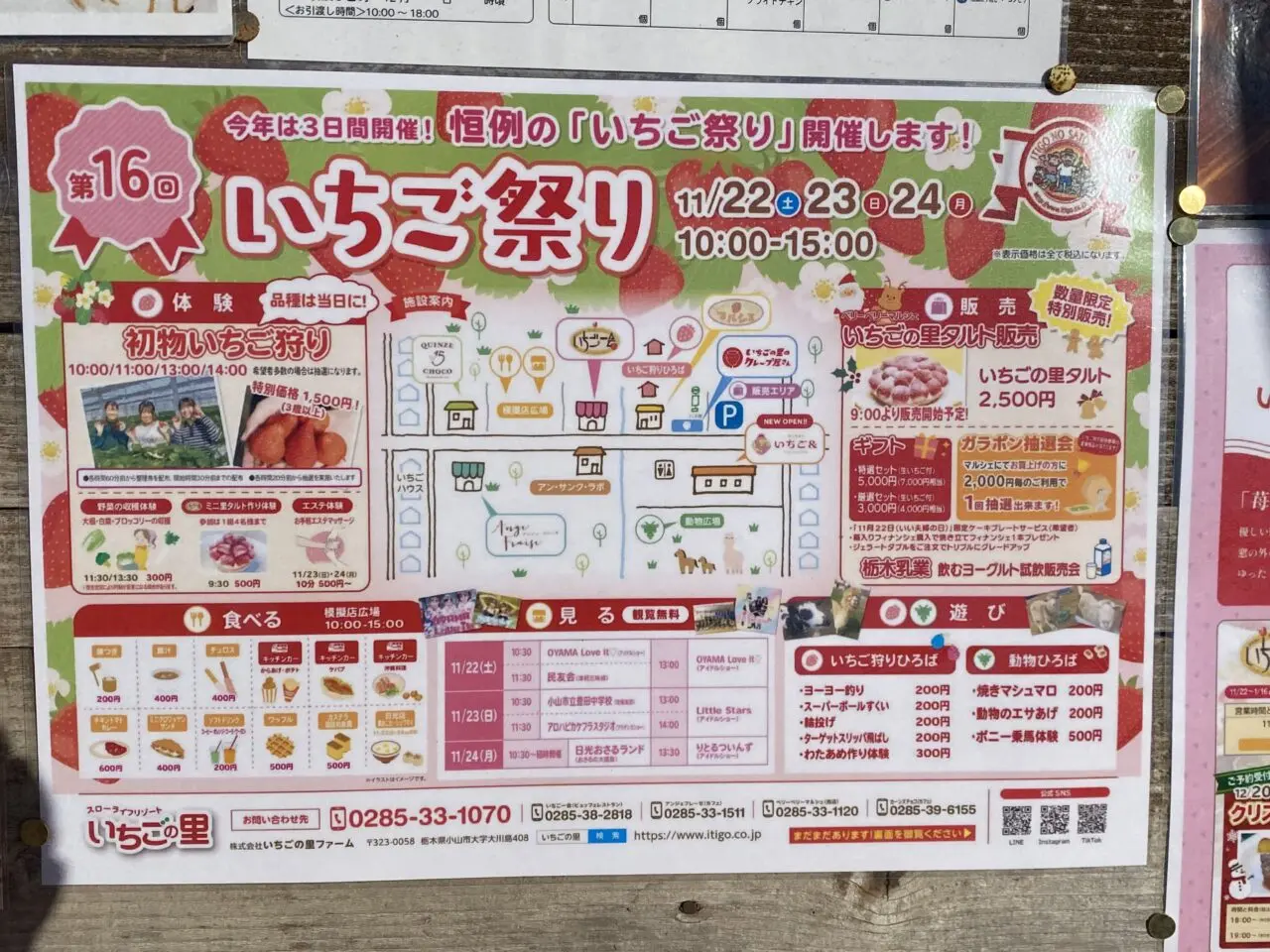 第16回いちご祭り