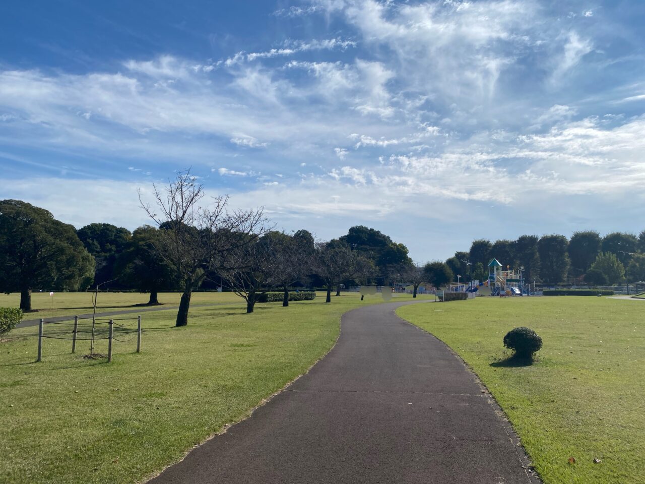 第48回 おやまいち