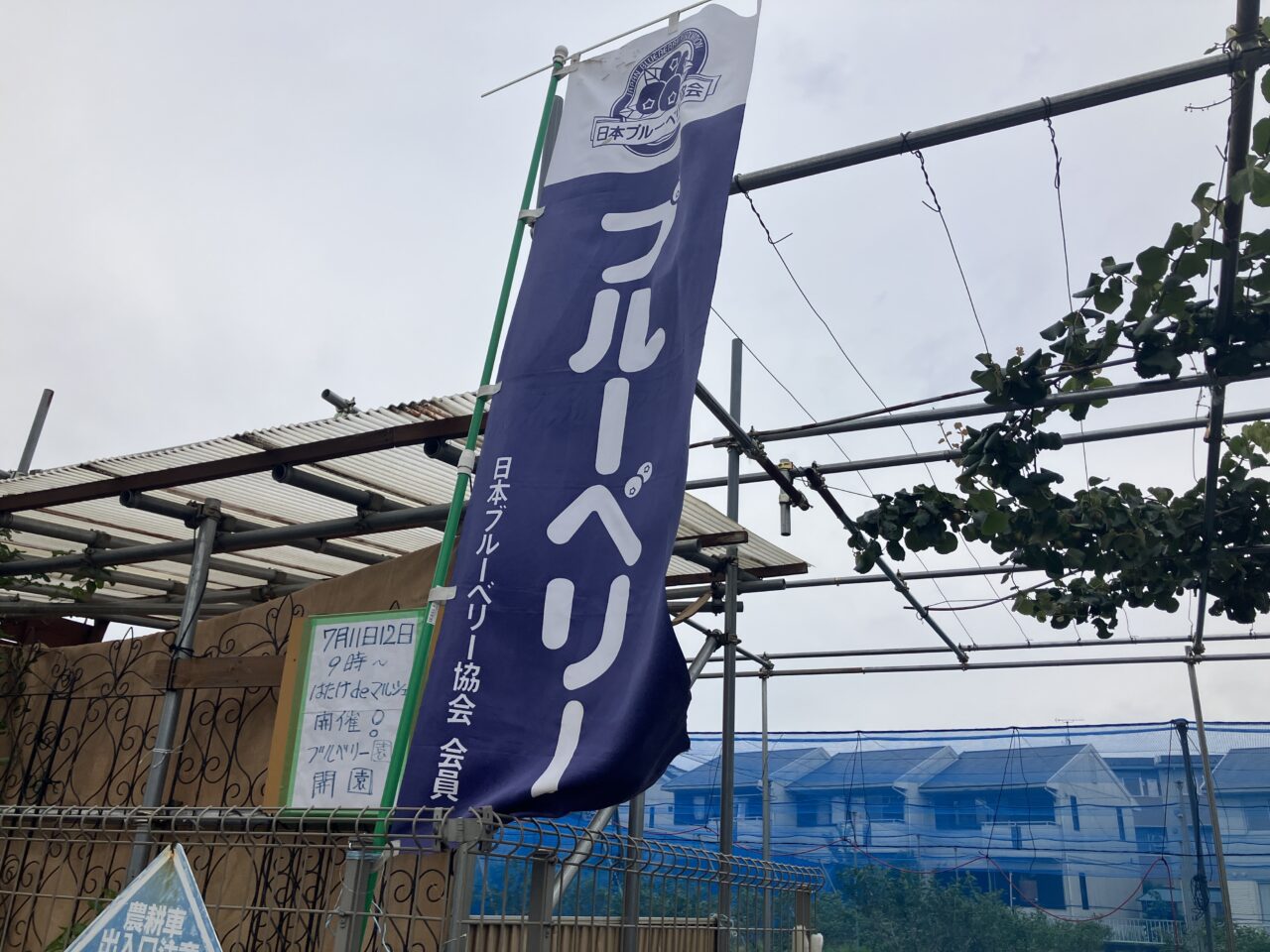 はたけdeマルシェ