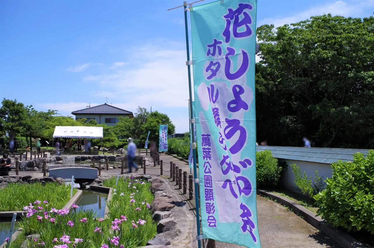 令和４年萬葉公園高松分園の花しょうぶ　開花状況