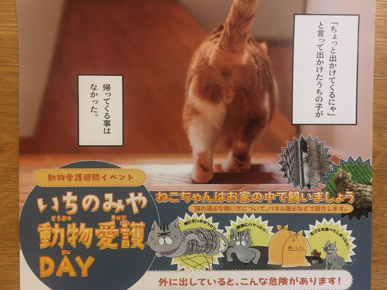 いちのみや動物愛護DAYちらし