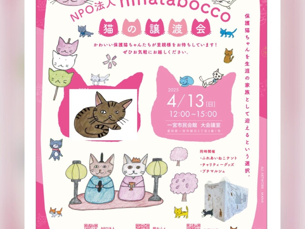 猫の譲渡会のご案内
