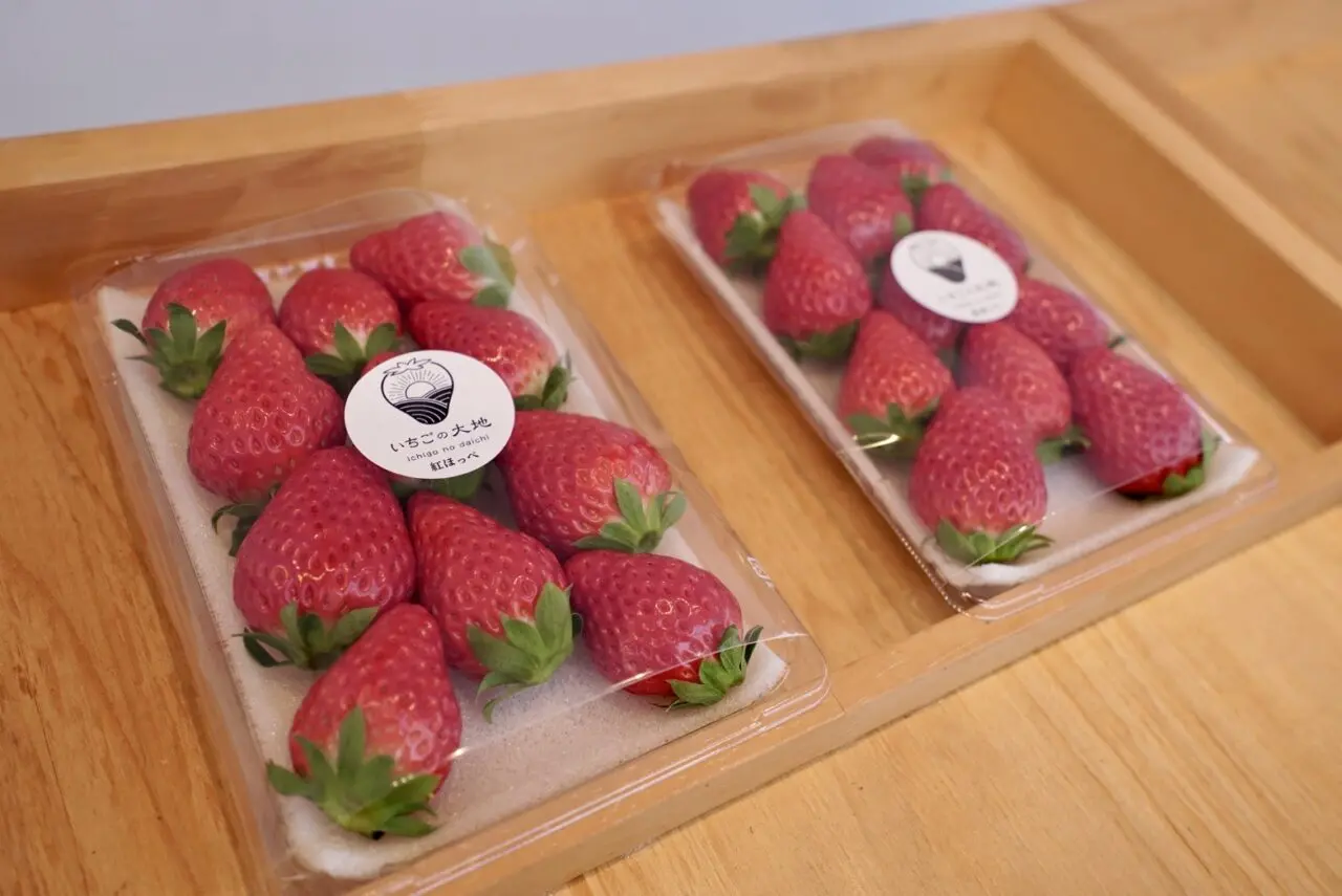 提供：いちごの大地