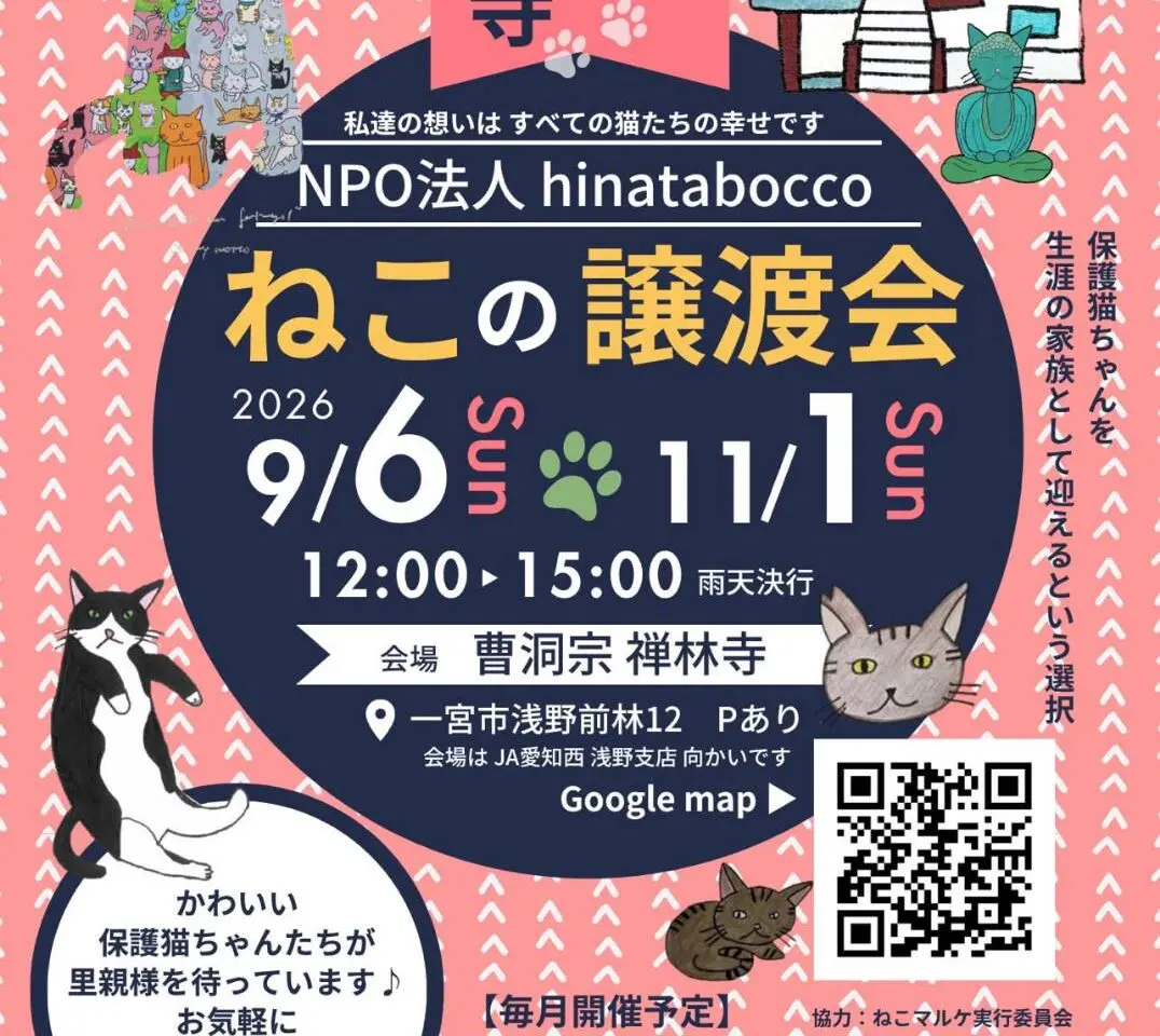 提供：NPO法人hinatabocco