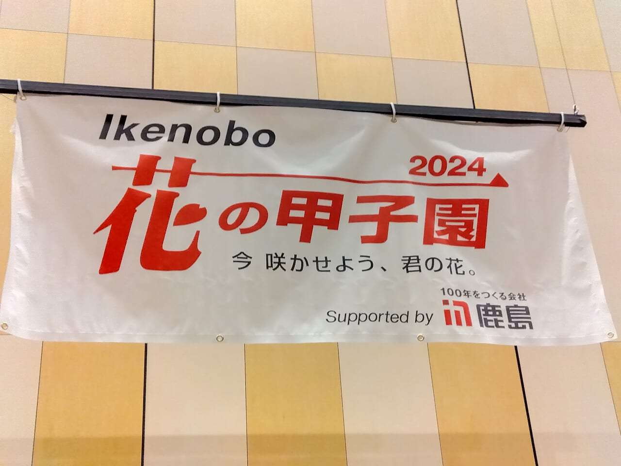 Ikenobo花の甲子園2024-2