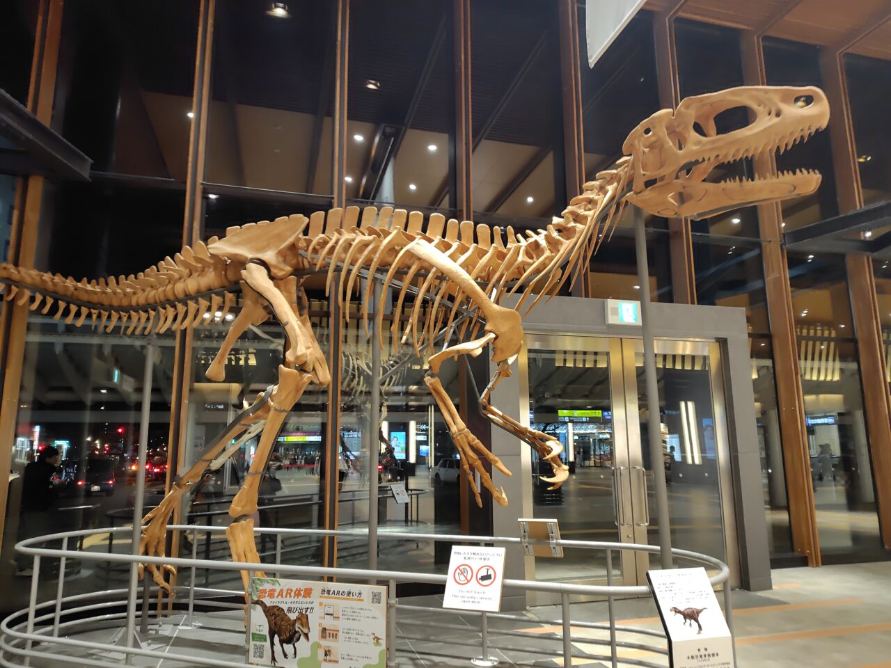 フクイラプトル・キタダニエンシス