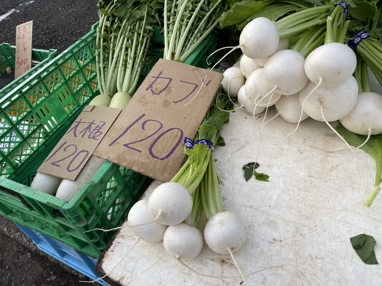 atsugishiminasaichi-