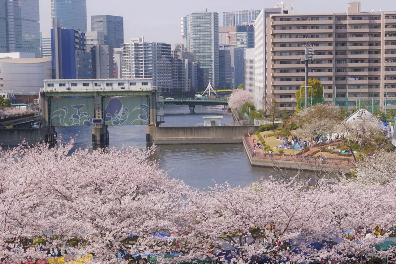 しながわ運河まつり