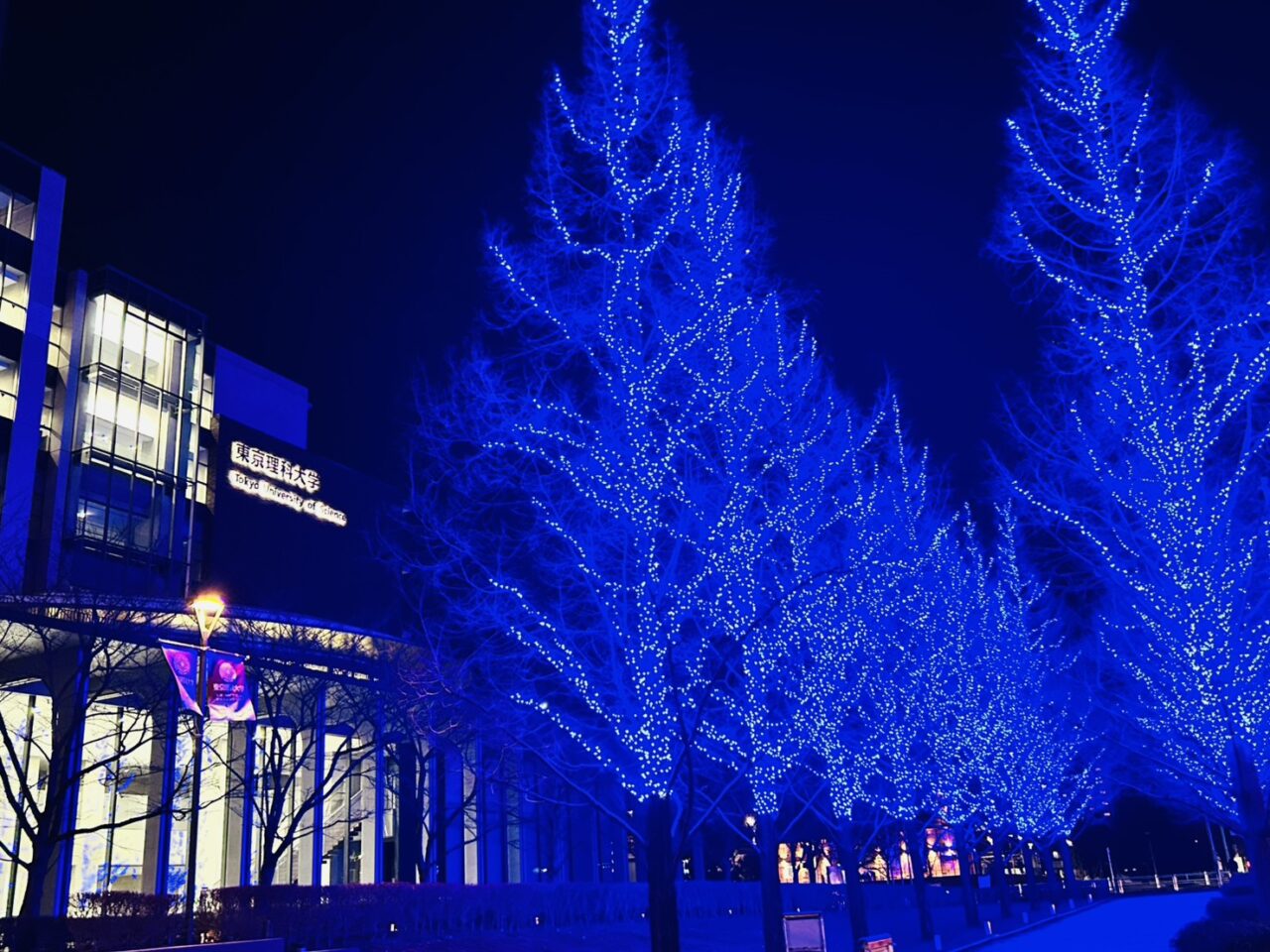 東京理科大葛飾キャンパス前のイルミネーション