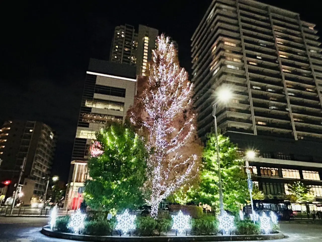 大きなツリーは南口側のシンボル