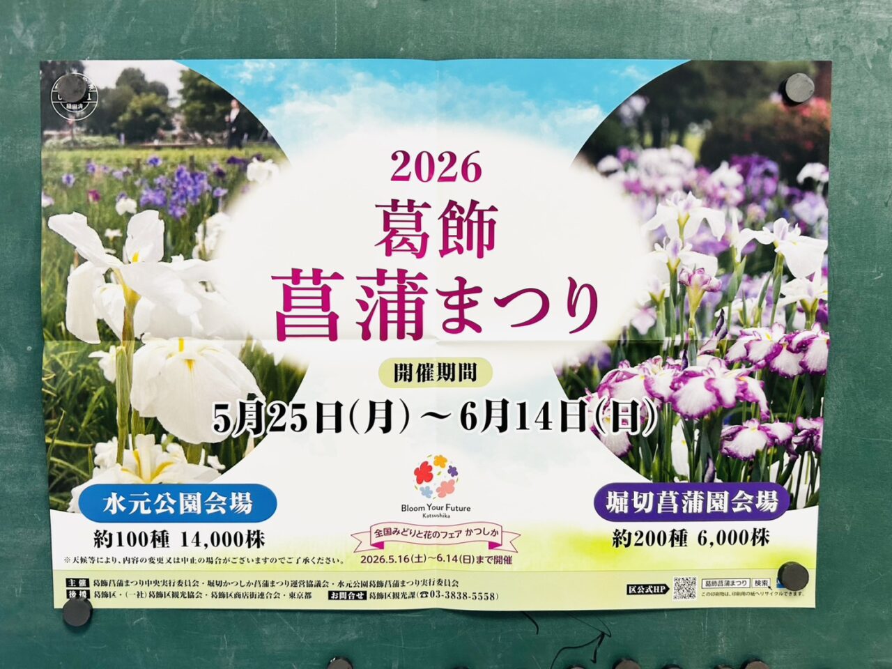 2026葛飾菖蒲まつりのポスター