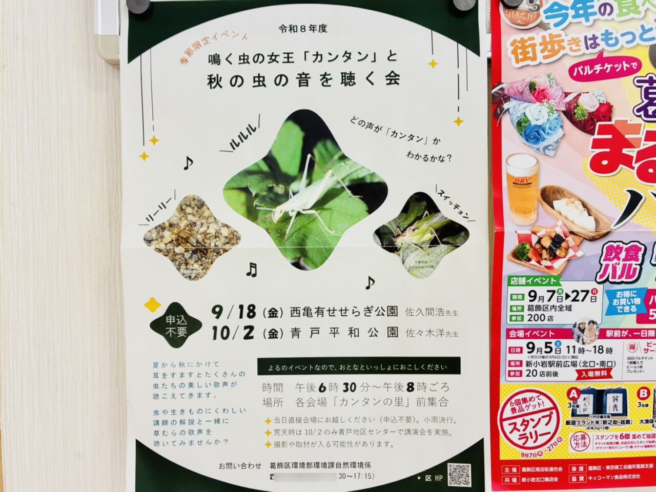 鳴く虫の女王「カンタン」と秋の虫の音を聴く会のポスター