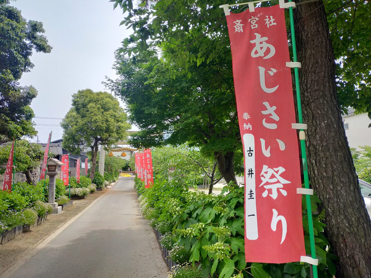 千福齋宮社あじさい祭りののぼり