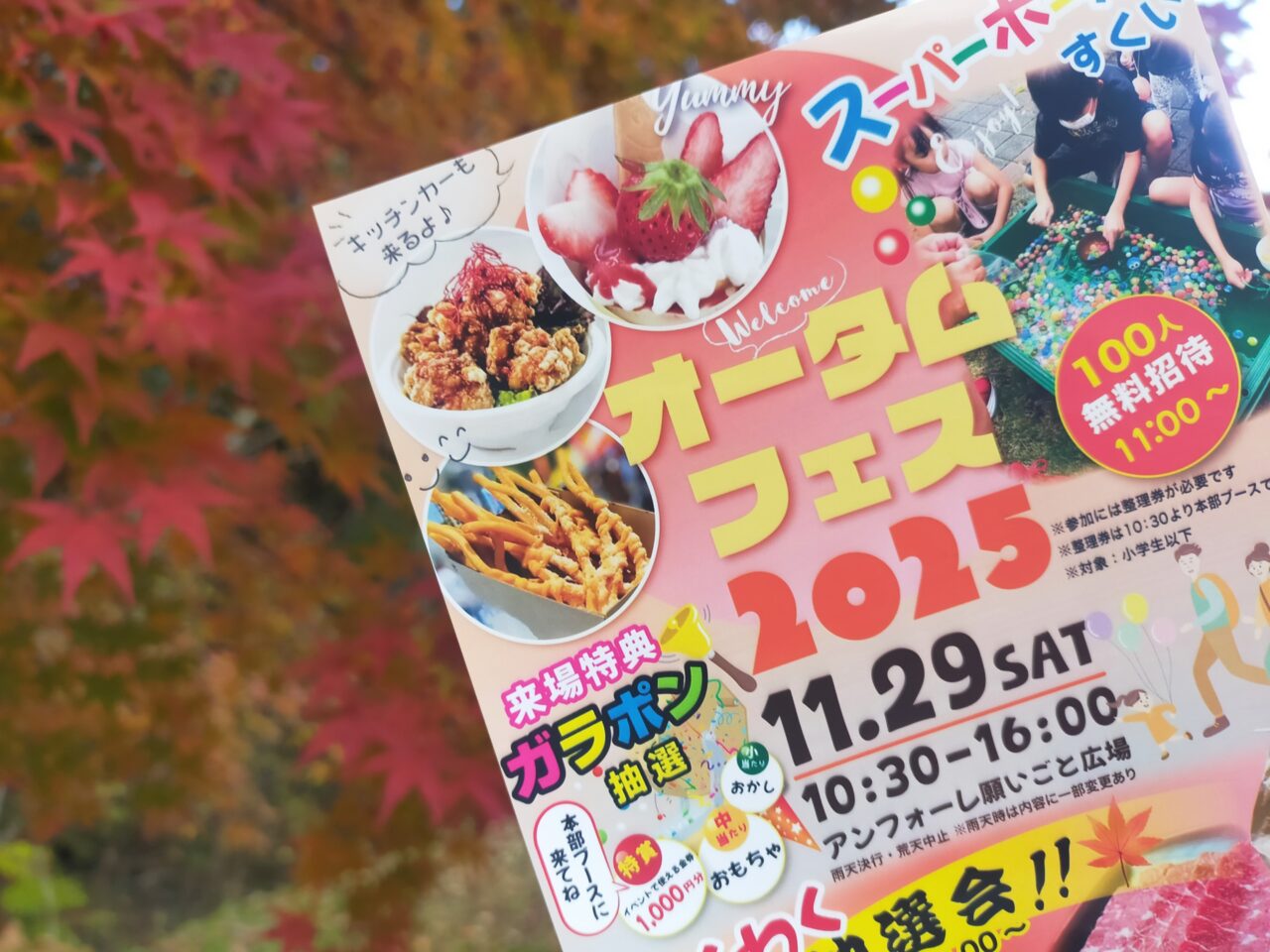 オータムフェス2025のチラシ