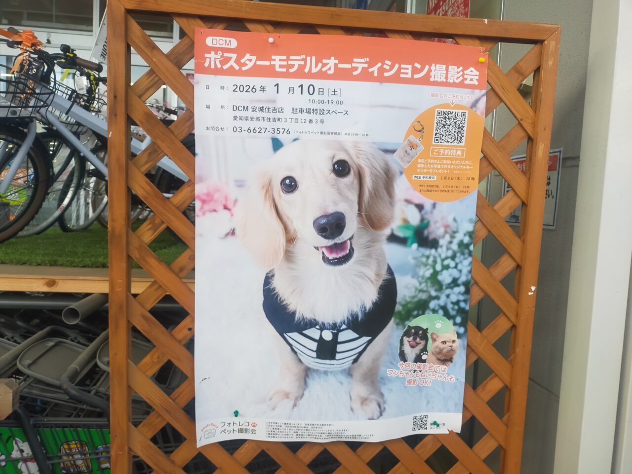 DCMポスターモデルオーディション撮影会のチラシ