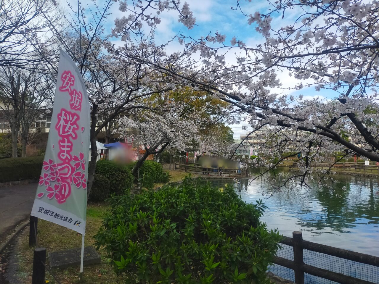 安城公園の桜