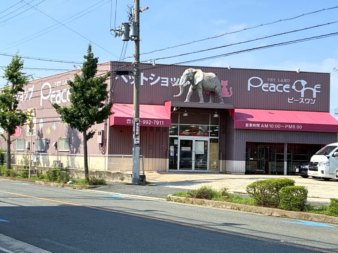 peaceone閉店