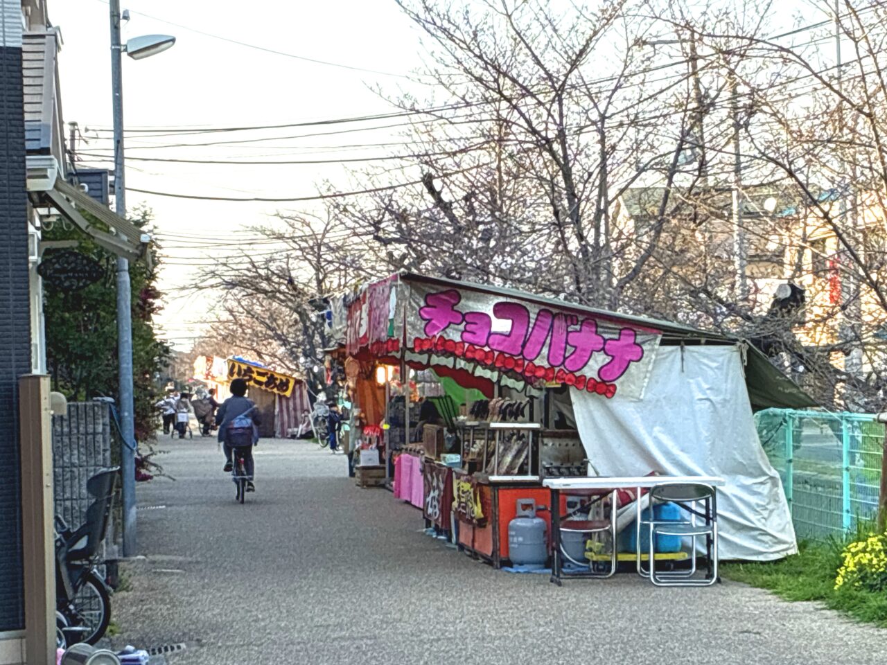 玉串川沿いの桜