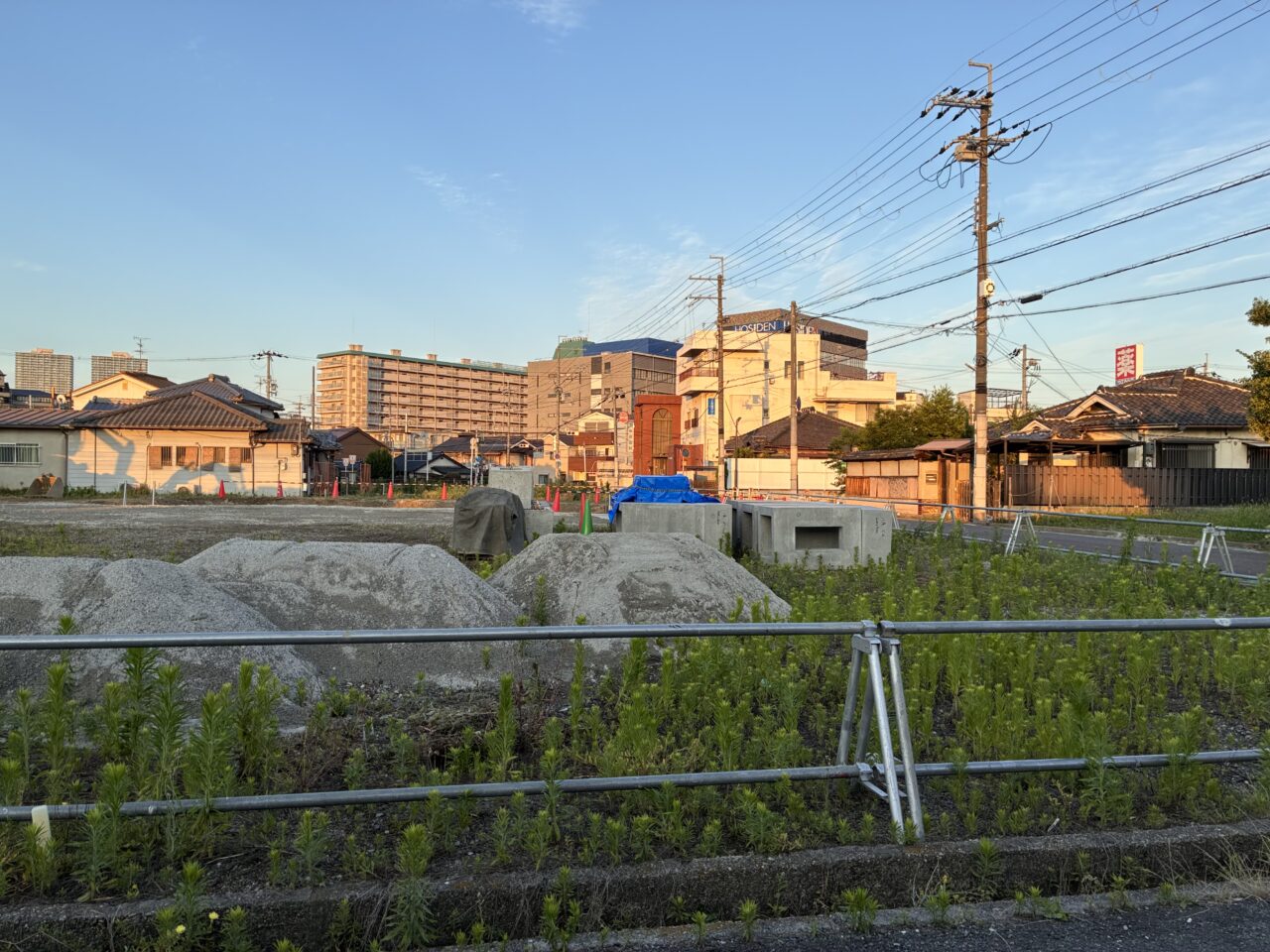 久宝寺にサンディ