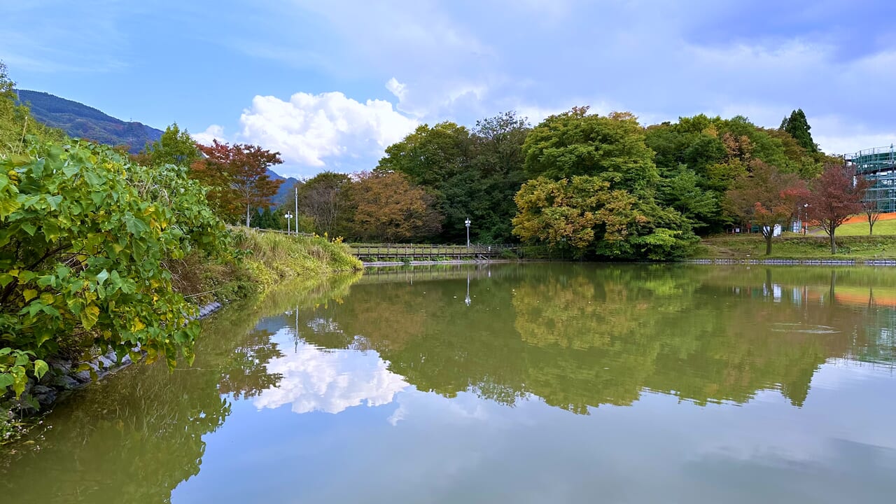 天湖森の土田池