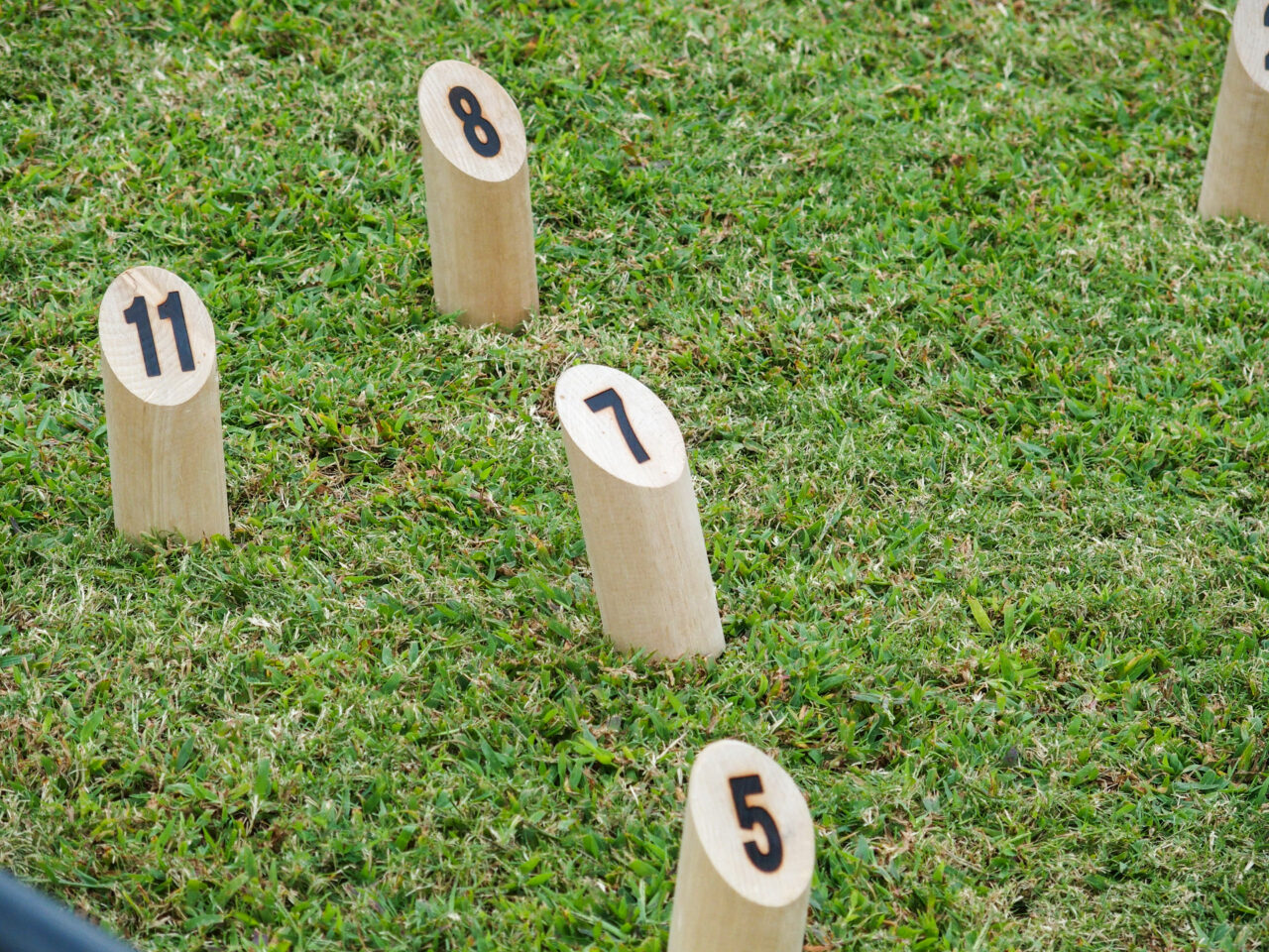 スポーツフェスティバル鴻巣2025＠陸上競技場