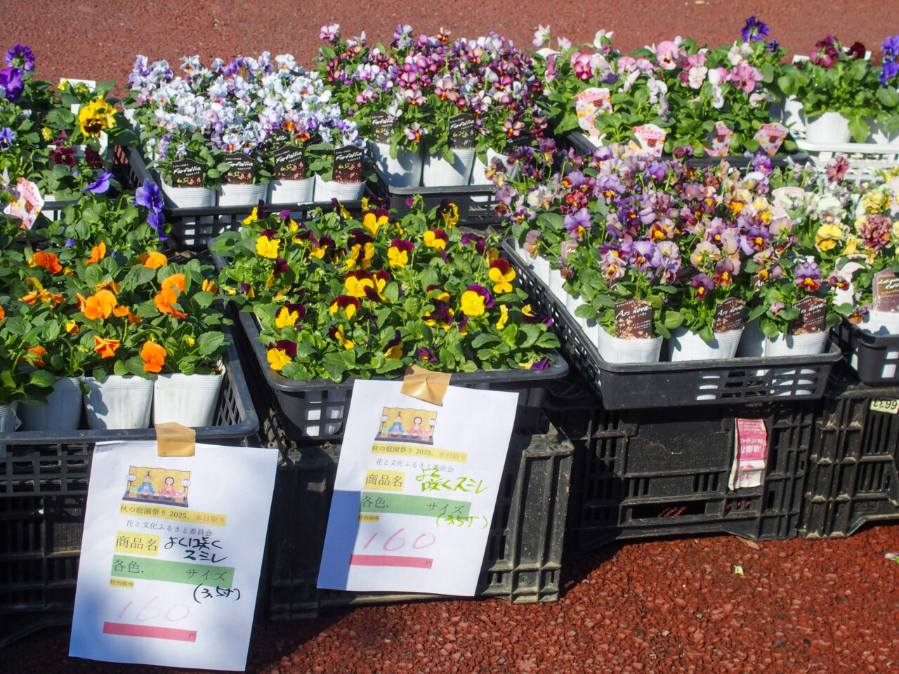 花久の里11月16日開催された秋の庭園まつり