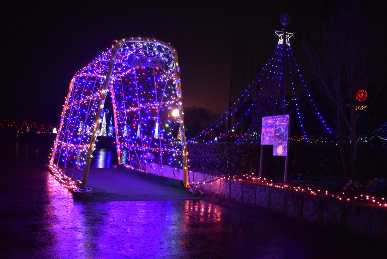 北本総合公園イルミネーション