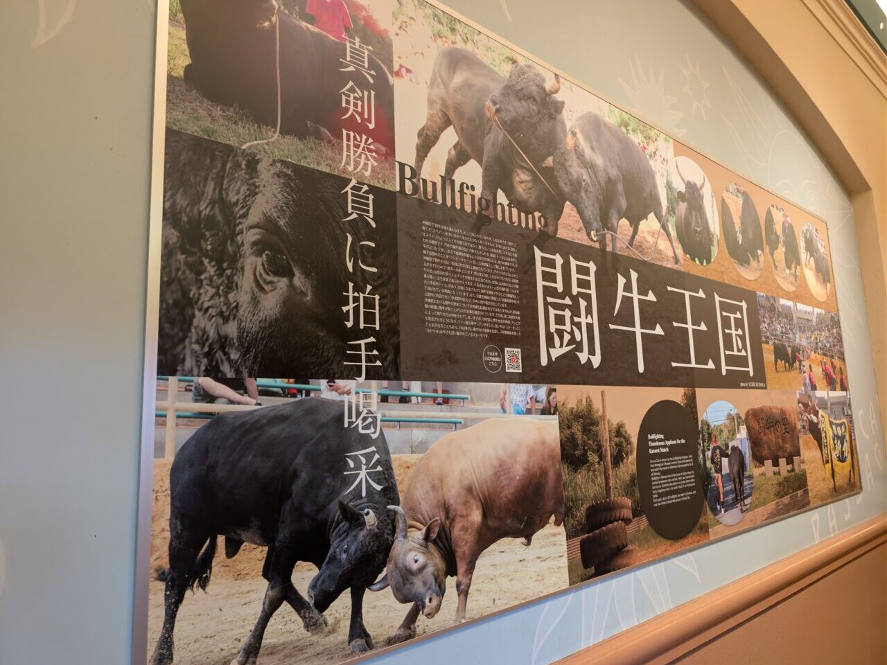 闘牛展