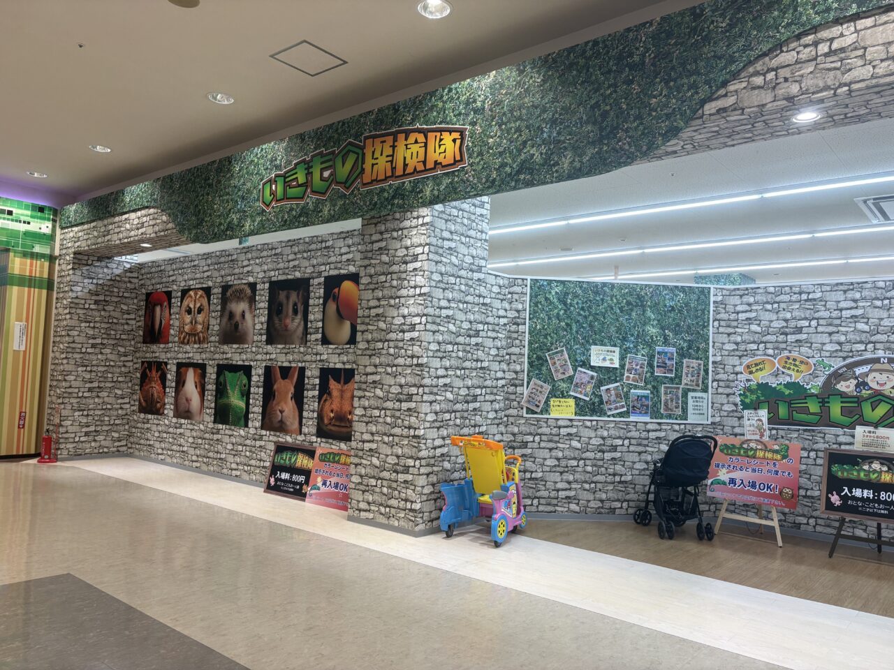 いきもの探検隊