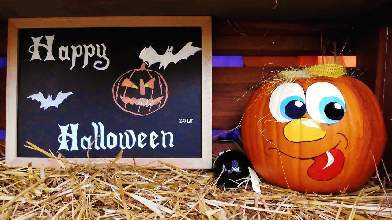 佐賀市　ハロウィン　イメージ