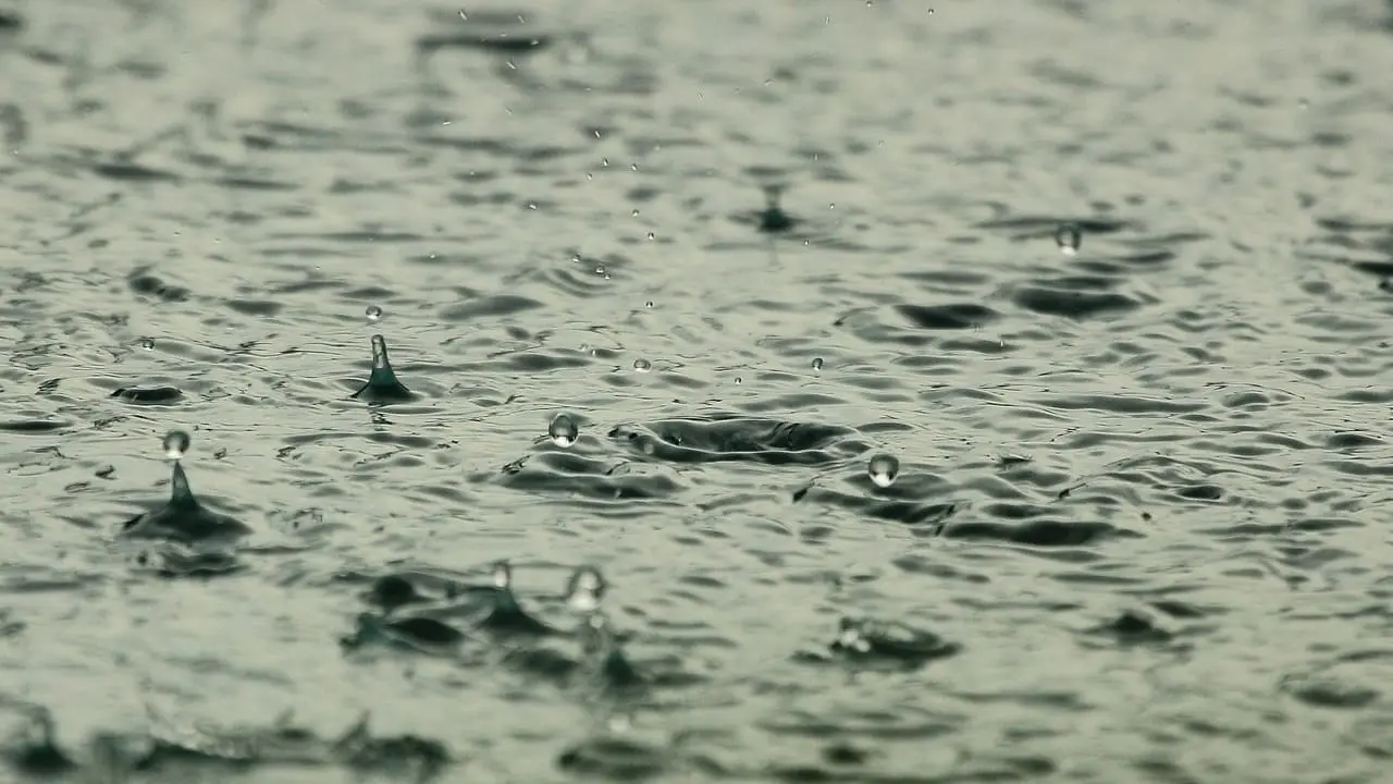 佐賀県　雨