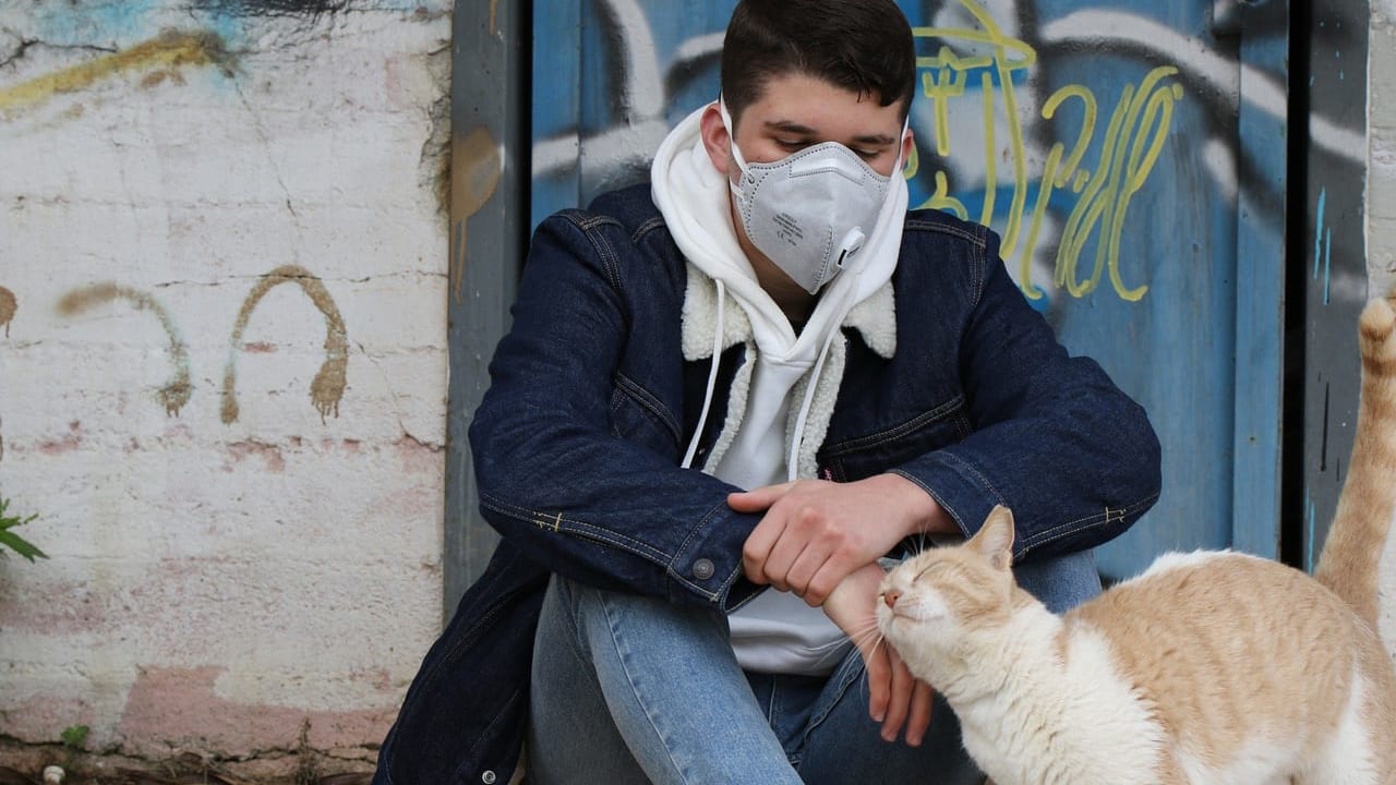 佐賀県　新型コロナウイルス　マスク2