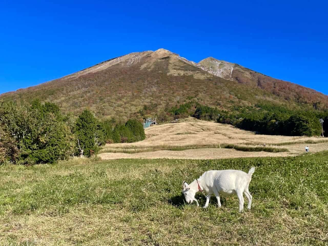 大山ますみず高原天空リフト