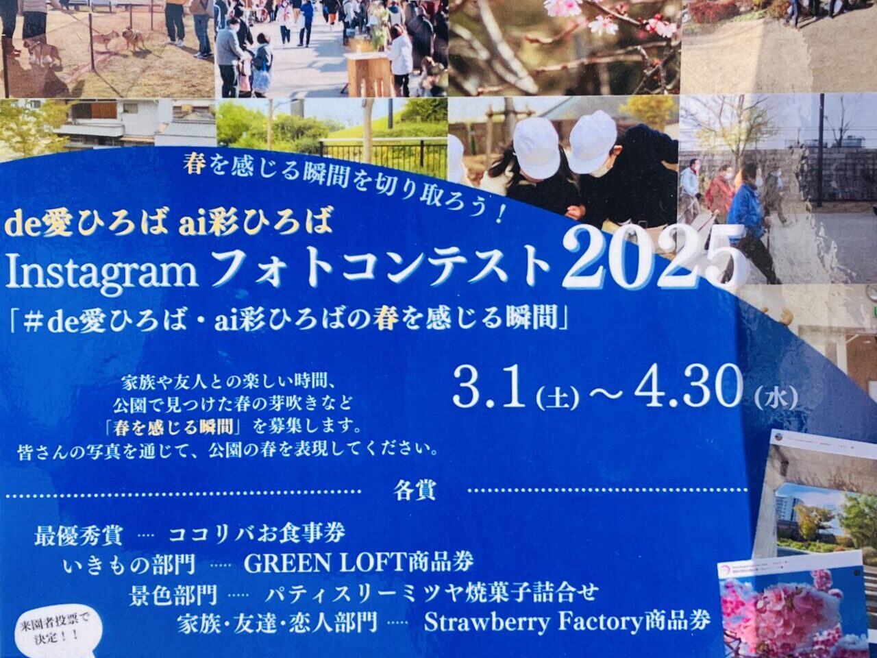 photo contest