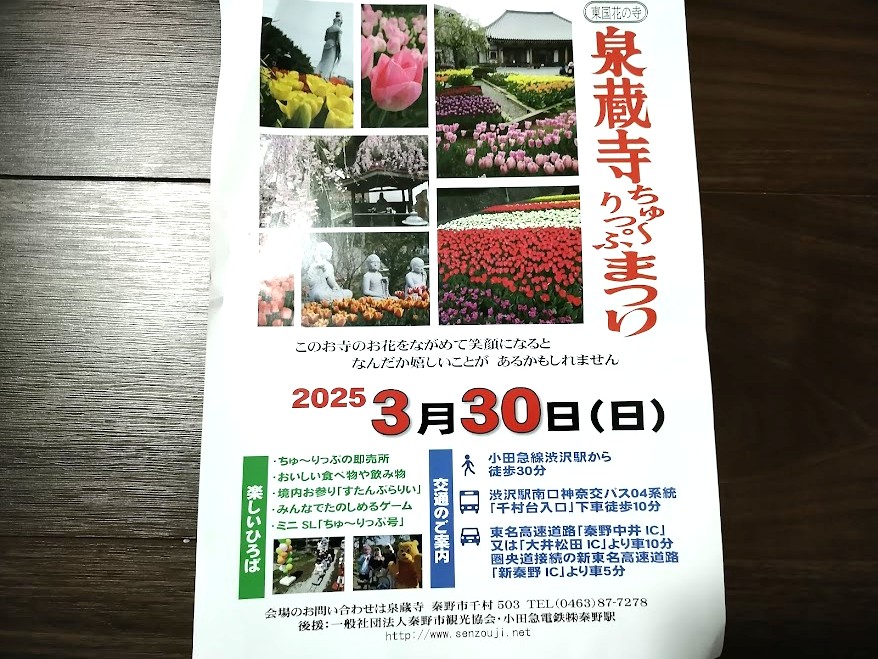 ちゅーりっぷまつり