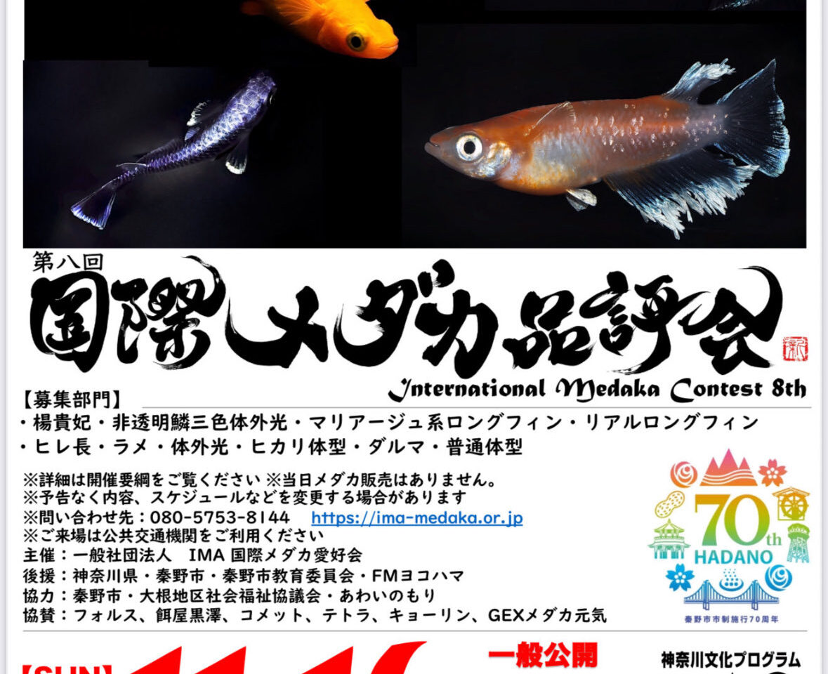 第八回国際メダカ品評会