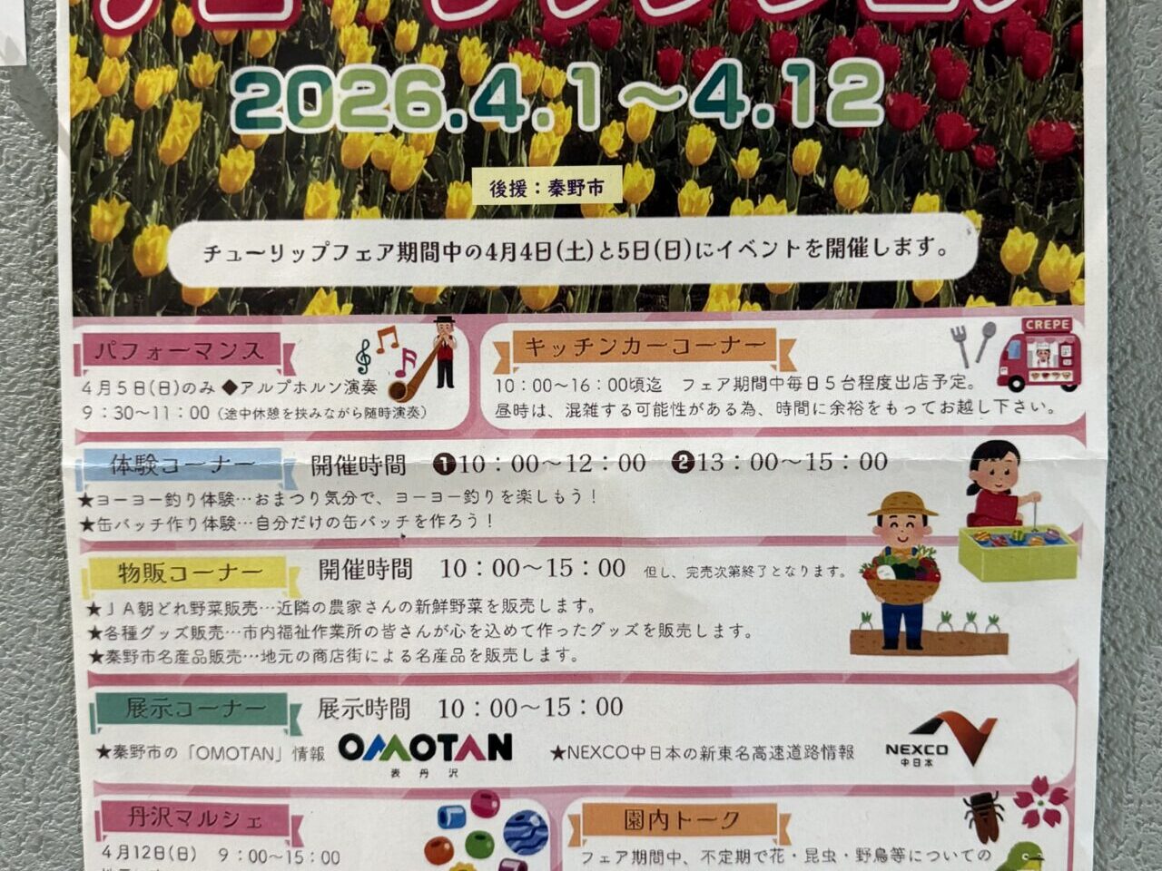 20260325チューリップ