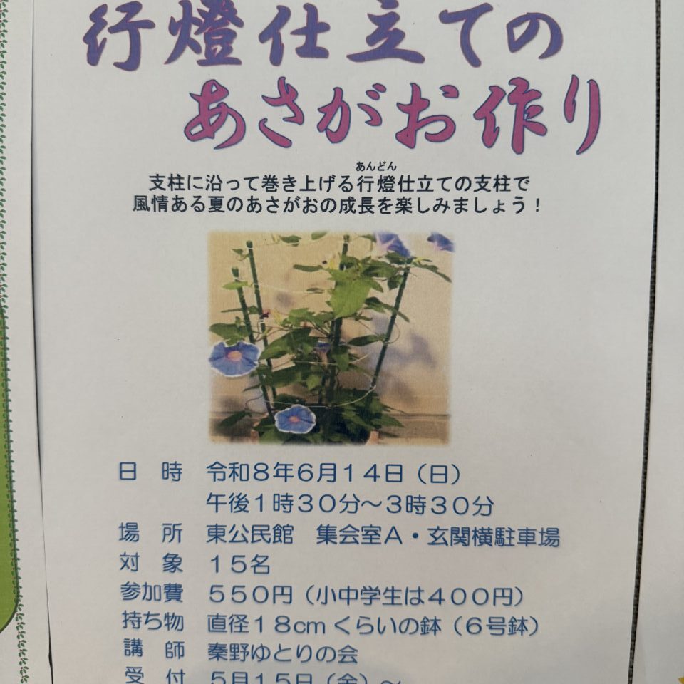20260602_あさがお