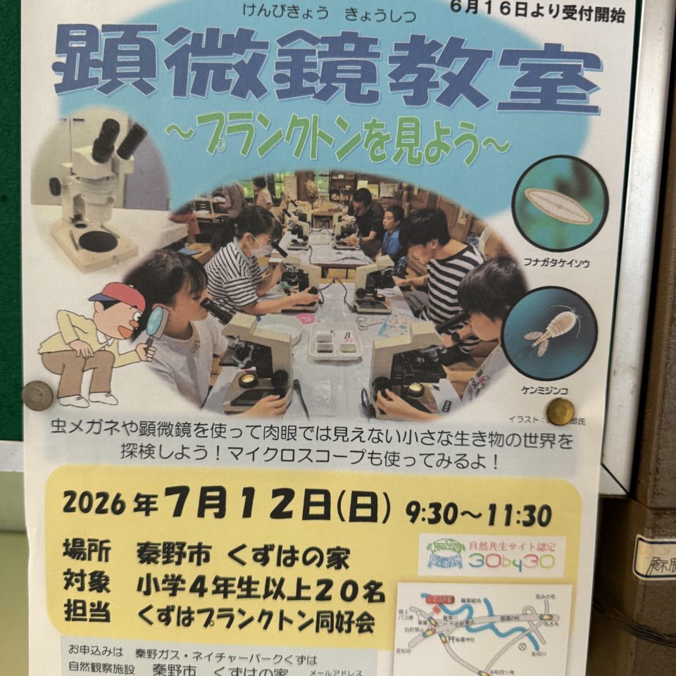 20260708_くずは