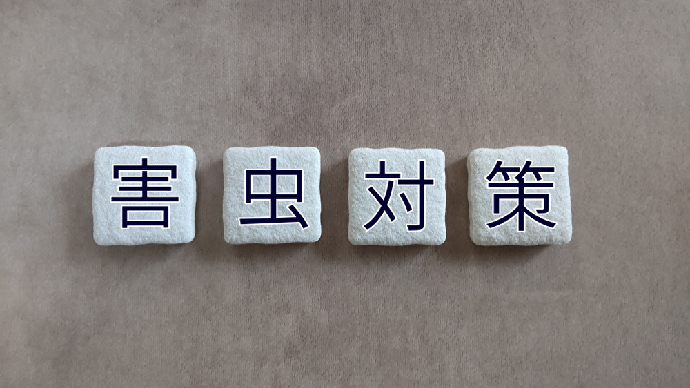 2026年3月「ゴキブリ団子作り教室」イメージ