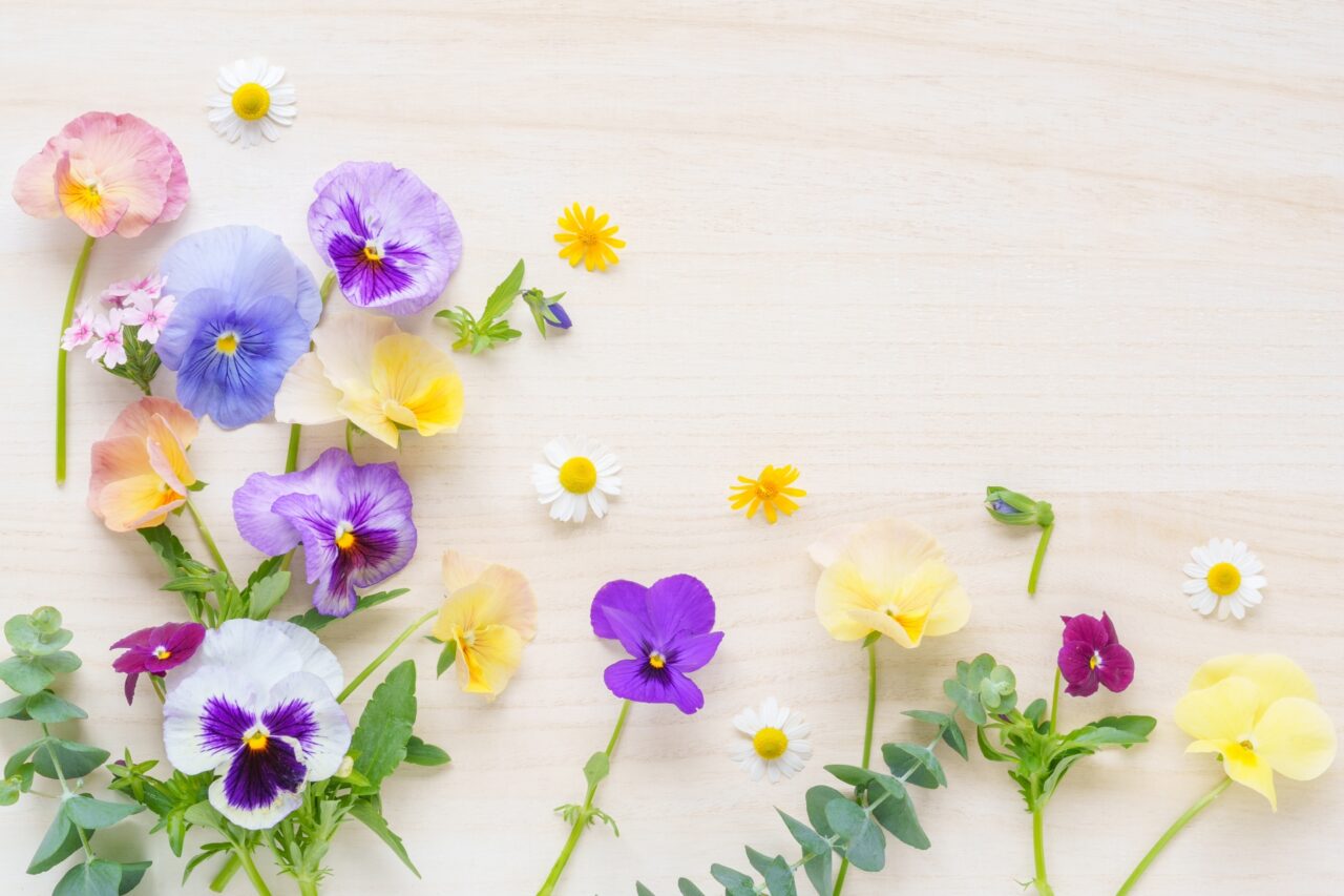 2026年3月「ミクロモザイクで作る春のオリジナルブローチ」イメージ